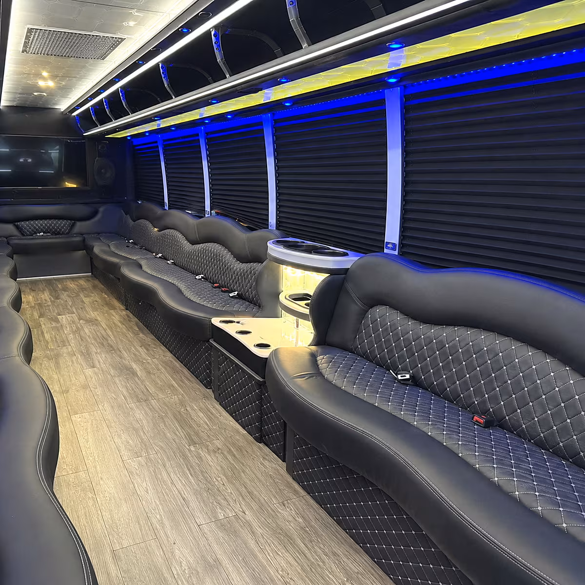 minneapolis party bus rental 2