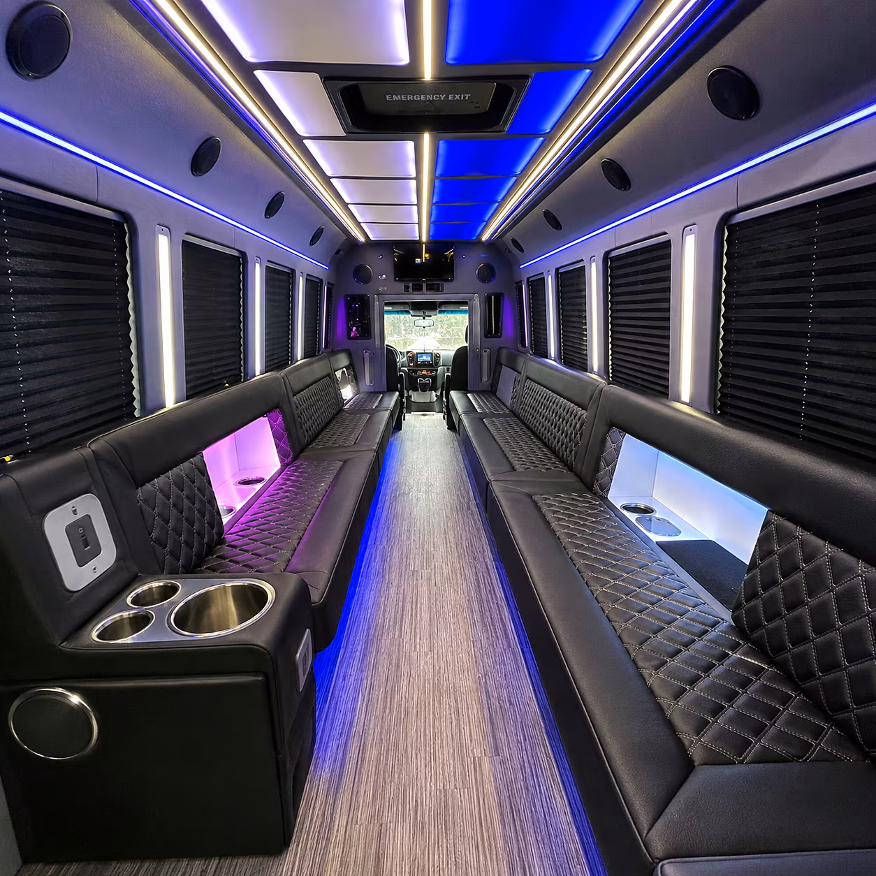 minneapolis party bus rentals inside